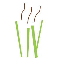 mutual traders imports