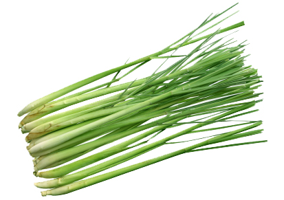 LEMON GRASS